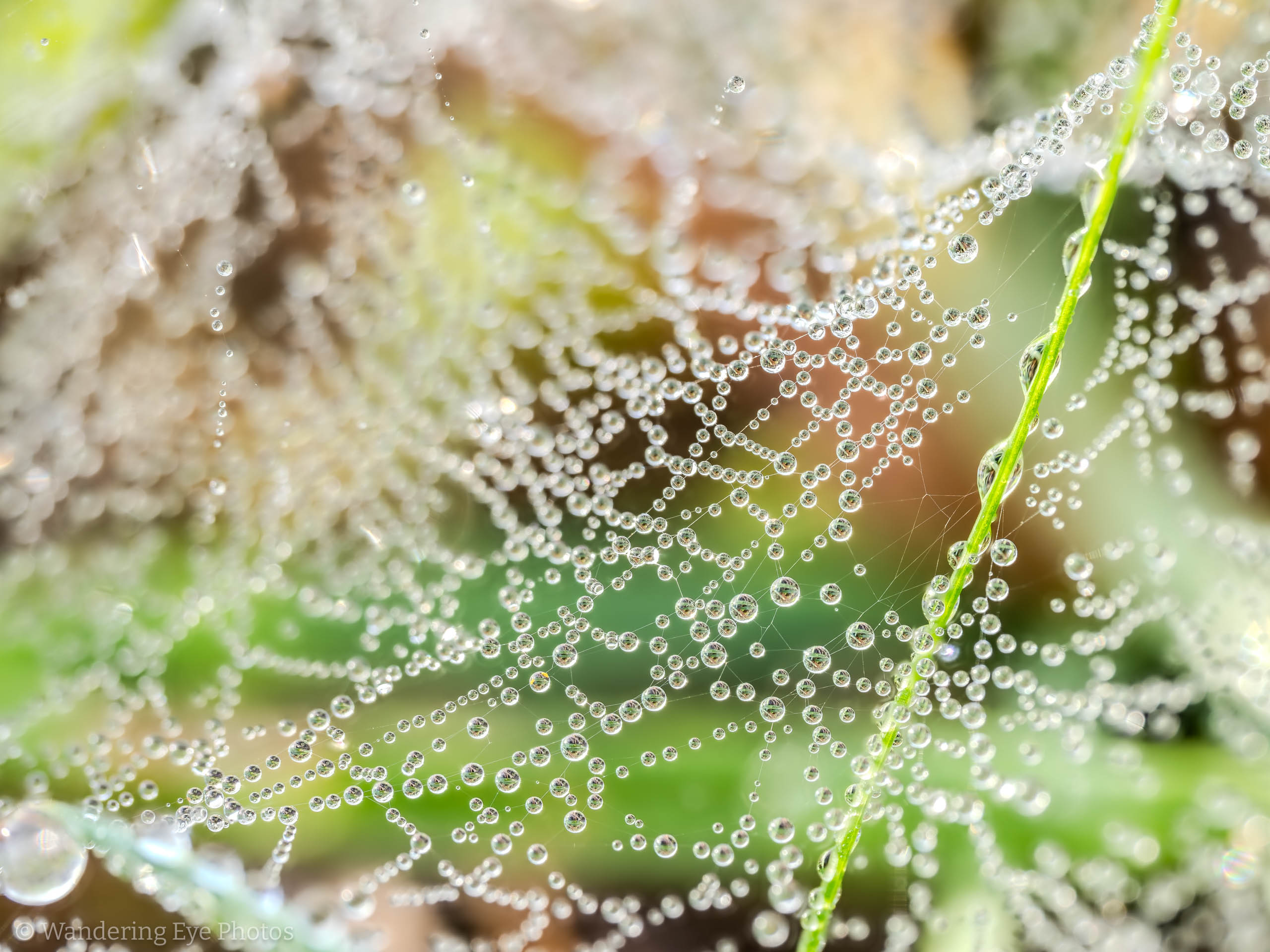 2025 11 09 21 26 30 (A,R8,S4)